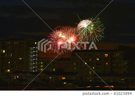 Fireworks 81023894