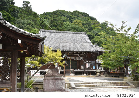 Kyoto Arashiyama Horinji Temple 81023924