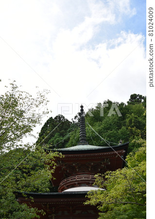 Kyoto Arashiyama Horinji Temple Tahoto 81024009