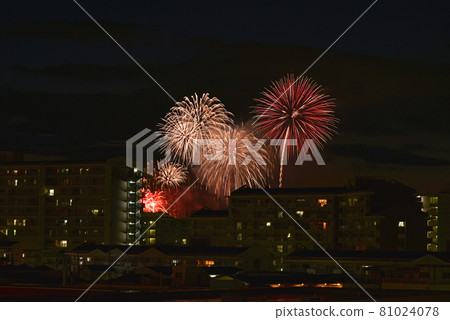 煙花 煙花 81024078