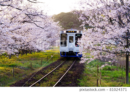 松浦鐵道天王崎站 81024371