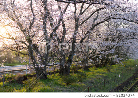 Matsuura Railway Uranosaki Station 81024374
