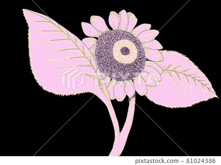 illustration, sunflower, sunflowers 81024386