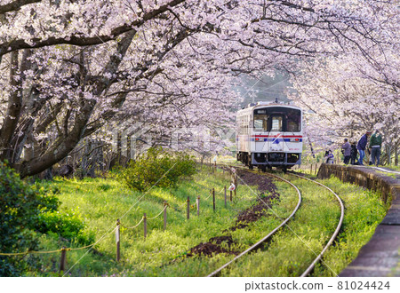 松浦鐵道天王崎站 81024424