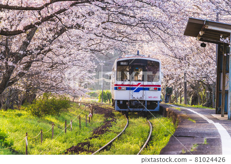 松浦鐵道天王崎站 81024426