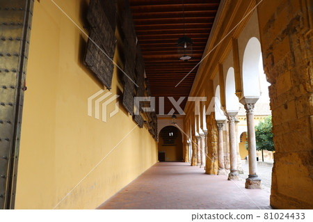 梅斯基塔通道 81024433