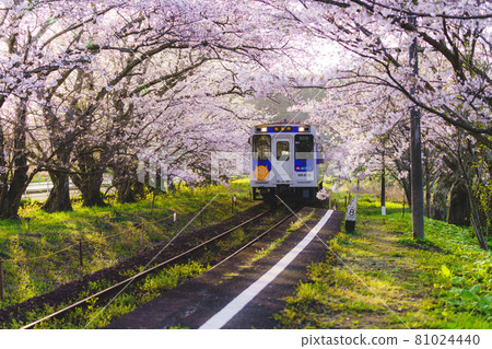 松浦鐵道天王崎站 松浦鐵道天王崎站 81024440