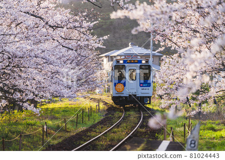 Matsuura Railway Uranosaki Station Matsuura Railway Uranosaki Station 81024443