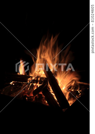 使用篝火的篝火 81024605