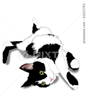 Japanese cat black and white 81025763