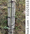 Barbed rusty wire on an old wooden post, fence, details of the prison. 81025818