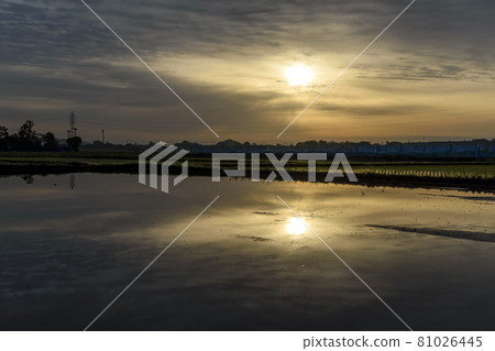 Satoyama scenery dyed in the morning sun Satoyama scenery dyed in the morning sun 81026445