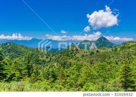 (Gunma Prefecture) Shiga Kusatsu Road (Refreshing Highway) Scenery near Yamada Pass (Gunma Prefecture) Shiga Kusatsu Road (Refreshing Highway) Scenery near Yamada Pass 81026932