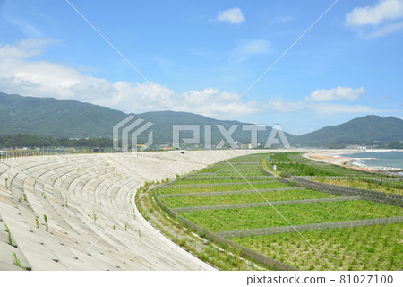 2021 高田松原的夏日風景 2021 高田松原的夏日風景 81027100