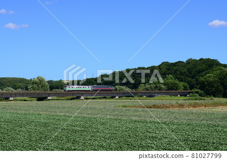 A regular train on the Sekihoku Main Line that crosses the No. 2 Tokoro River Bridge, which has fields spread out on the riverbed. 81027799