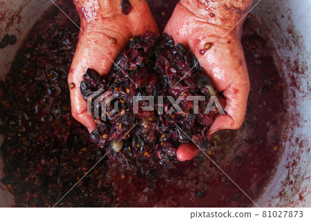 Concept of making homemade red wine. 81027873