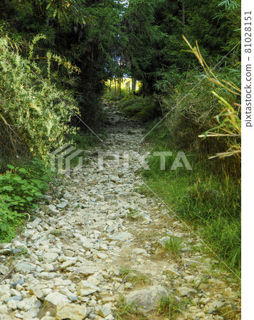 有岩石和碎石路的比叡山山路 81028151