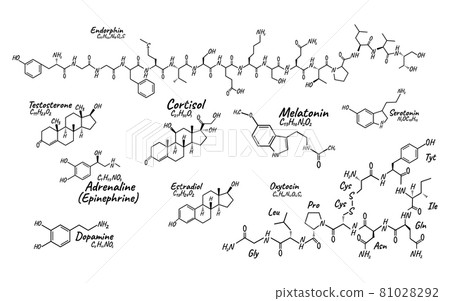 Human big set hormone concept chemical skeletal formula icon label, text font vector illustration, isolated on white. Periodic element table. Human big set hormone concept chemical skeletal formula icon label, text font vector illustration, isolated on white. Periodic element table. 81028292