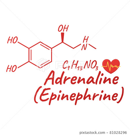 Human hormone adrenaline, epinephrine concept chemical skeletal formula icon label, text font vector illustration, isolated on white. 81028296