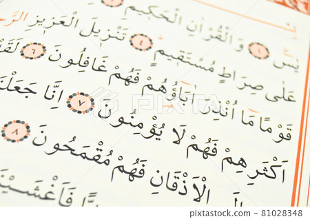 Pages verses from the holy book of islam religion quran, kuran and chapters 81028348