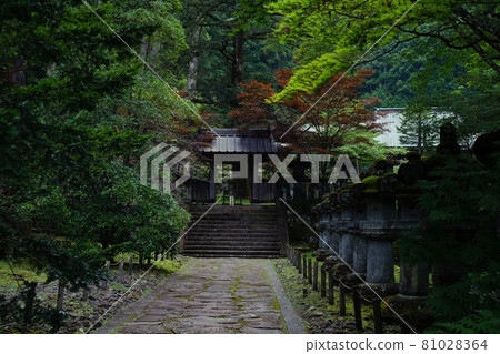 Nikko Toshogu 81028364