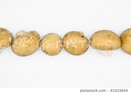 Healthy brown chestnut mushrooms isolated on white background 81028684