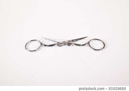 Retro professional small tailor scissors, isolated on white background 81028688