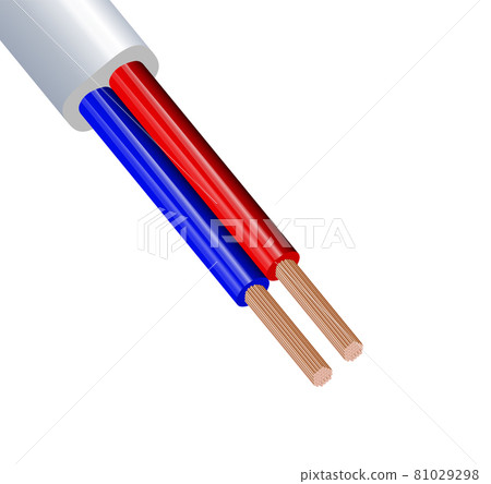 Flexible two-wire electrical copper cable isolated on white background. Copper multicore cable with double color insulation. Close-up of the cross section. Power wire. Flexible two-wire electrical copper cable isolated on white background. Copper multicore cable with double color insulation. Close-up of the cross section. Power wire. 81029298