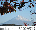 Mount Fuji  81029515