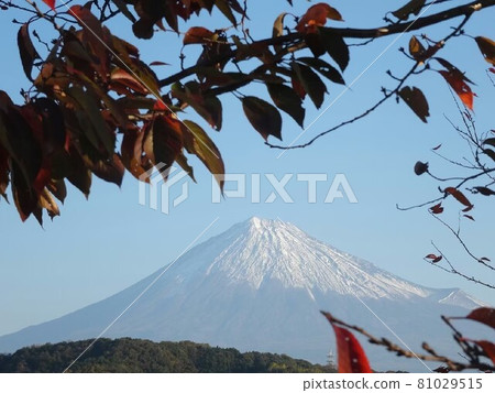 富士山 81029515