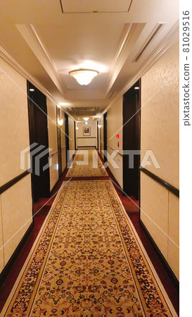 Hotel hallway Hotel hallway 81029516
