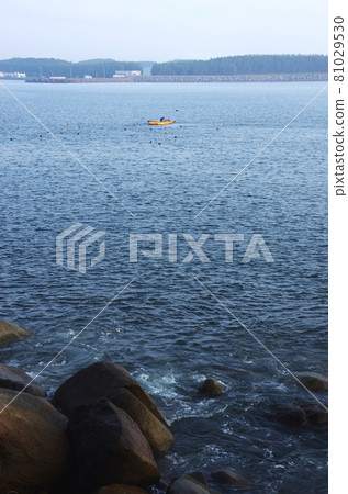 Early morning coastline of Shibushi Bay 81029530