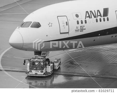 Airplane towed by a towing car Haneda International Airport Airplane towed by a towing car Haneda International Airport 81029711