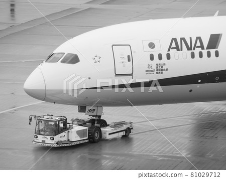 Airplane towed by a towing car Haneda International Airport 81029712