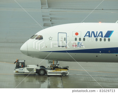 Airplane towed by a towing car Haneda International Airport 81029713