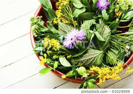 Natural medicine,fresh herbs Natural medicine,fresh herbs 81029999