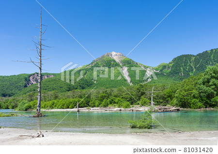 上高地的燒嶽山和大正池 上高地的燒嶽山和大正池 81031420