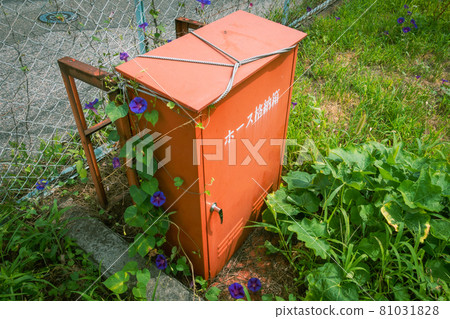 軟管儲物盒和牽牛花 81031828