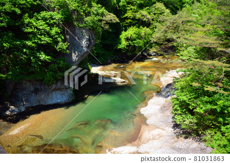 The pure mountain stream of the Fukiwari Valley The pure mountain stream of the Fukiwari Valley 81031863