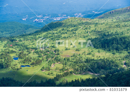 (Gunma Prefecture) Yoshigadaira overlooking from the highest point of Shiga Kusatsu Road and Japan National Highway (Gunma Prefecture) Yoshigadaira overlooking from the highest point of Shiga Kusatsu Road and Japan National Highway 81031879