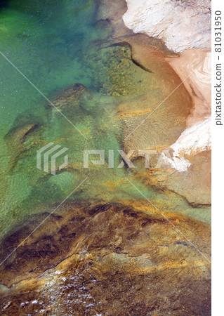 The pure mountain stream of the Fukiwari Valley The pure mountain stream of the Fukiwari Valley 81031950