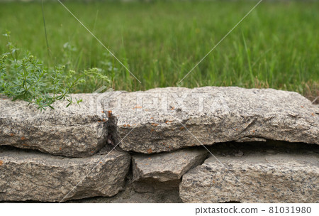 3D background with a stone podium display. A natural rock pedestal on a natural green background. 3D background with a stone podium display. A natural rock pedestal on a natural green background. 81031980