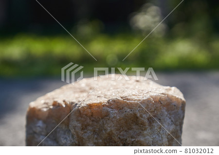 Stone podium display. A natural rock pedestal with a natural green background. 81032012
