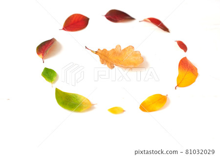 Circle of colorful autumn leaves, gradient frame for design on a white wood Circle of colorful autumn leaves, gradient frame for design on a white wood 81032029