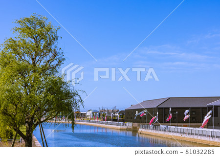 愛知縣半田運河沿岸的清晨鯉魚旗 81032285