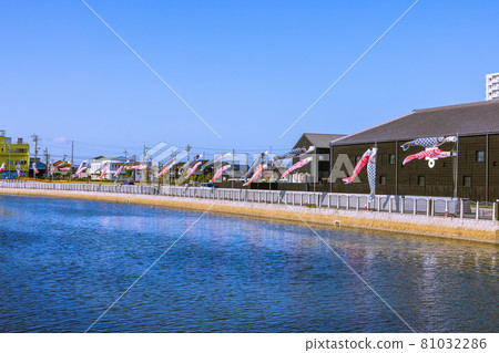 愛知縣半田運河沿岸的清晨鯉魚旗 愛知縣半田運河沿岸的清晨鯉魚旗 81032286
