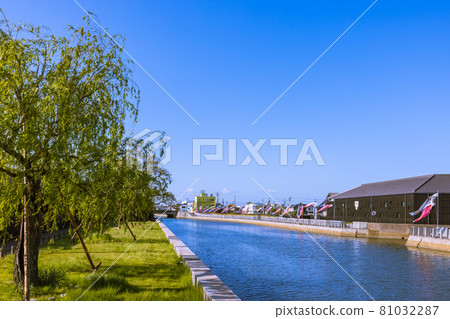 愛知縣半田運河沿岸的清晨鯉魚旗 81032287