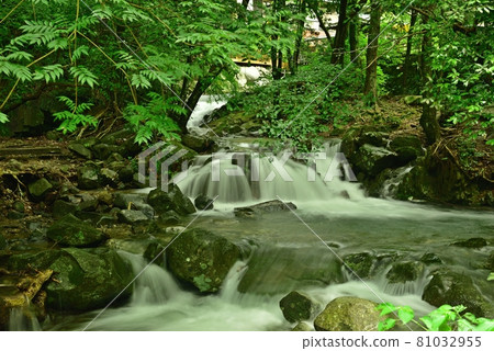 Summer valley, mountain stream scenery connecting small waterfalls 81032955