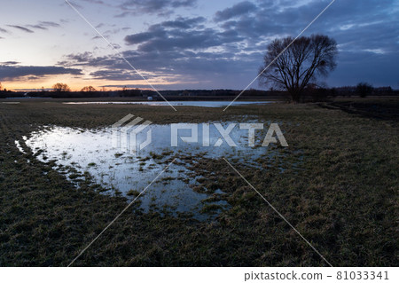 Water in the meadow and the evening sky Water in the meadow and the evening sky 81033341