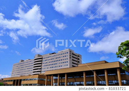 Hokkaido University Hospital 81033721